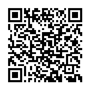 没想到连丁铃铛都忍不住流露出如此虚弱的一面二维码生成