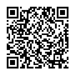 没想到那个一向拐杖的昊老大竟然真的将文里吃下来了二维码生成