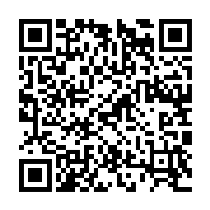 没想到那个老者根本没有将咱们东方世家放在眼中二维码生成