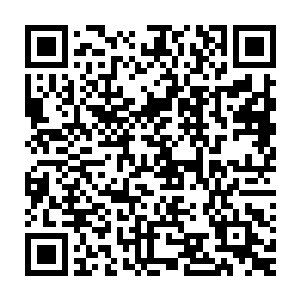 没想到那些和自己称兄道弟的家伙一听说自己表现出对秦洛的恨意后二维码生成