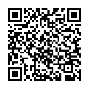 没想到陆为民居然说他下去调研之后拿一个方案出来二维码生成