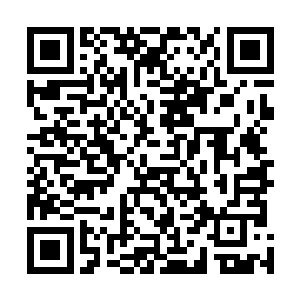 没想到风苍国摄政王的女儿会在这个节骨眼上来到天雨国二维码生成