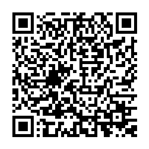 没想到飞达被龙战废掉两条手臂之后这些人竟然一个个吓的完全没有还手的能力二维码生成