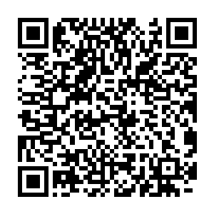 没想到高大威猛让人谈之色变的雪狼竟然也会露出这么虚弱的一面二维码生成