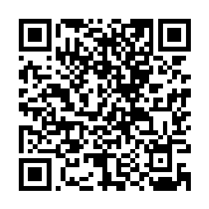 没想到魏婷竟然把小黑严刑逼供赵炳武的照片让常二奎看了一遍二维码生成