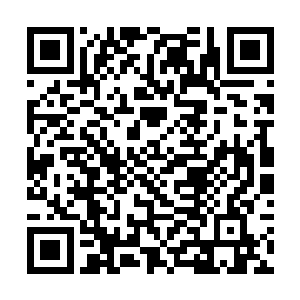 没想都这些打招呼的人一次又一次的揭开了他的伤口二维码生成