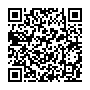 没意思……小爷一定要在古丹界内搞出点事情来二维码生成