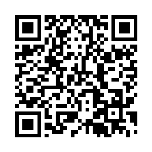 没抱稳大树杈就会有这种结果……咳二维码生成