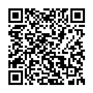 没料到却会遇上陆氏兄弟双双被人强邀走的情况二维码生成