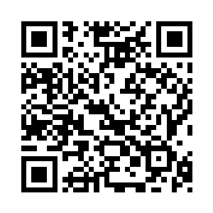 没有一个人对罗大纲表示出哪怕一丁点的同情二维码生成