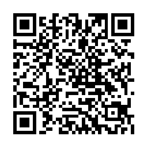 没有一个废物可以阻止一场可能毁灭世界的灾难二维码生成