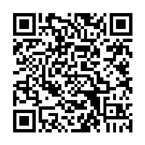 没有一群优秀人才愿意去学习和从事这个职业的话二维码生成