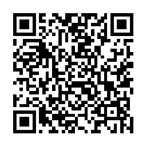 没有不朽顶峰的修为想要炼化圣山显然根本就是不可能的二维码生成