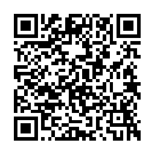 没有丝毫停顿地和不断涌出的鬼修厮杀在了一起二维码生成