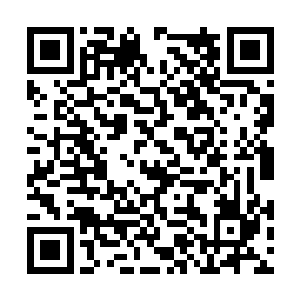 没有主人在飞船上的机器人被军队判定为是危险品二维码生成