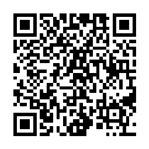 没有了之前那些特意跑来这个山洞等着开餐的地下生命们二维码生成