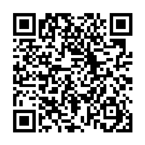 没有了天地之力那道如蛟龙般的虚影就没有任何意义了二维码生成