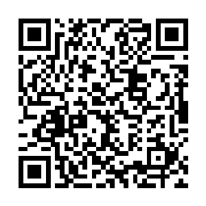 没有了拥挤的人流脚下是鲜红的地毯一切是那么的真实二维码生成