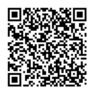 没有了比较她也就不清楚自己的手艺是否还有在原有基础上再提高的可能二维码生成