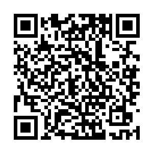 没有了符宝的李万宝和萧如星哪里还敢和许家决战二维码生成