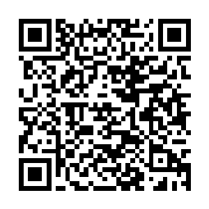 没有五百骑不办…………俺从来没向萧兄要求什么二维码生成