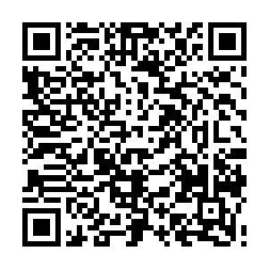没有亲戚在这里小伙伴也不在一起的白兰粘一粘自己这个同居猫也挺正常的二维码生成