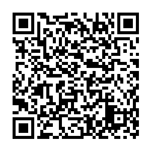 没有人为了一枚基本不可能研究出什么东西的骨片与小胡子青年过不去二维码生成