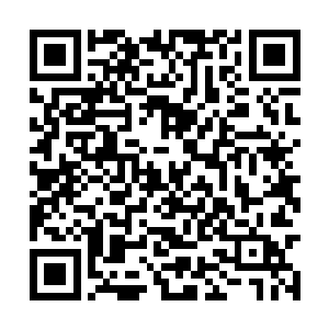 没有人会去在意你的境界是主神中期还是主神后期二维码生成