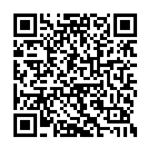没有人会把这些混混的死与一个学霸联系在一起二维码生成
