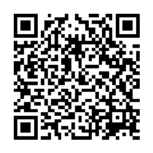 没有人会料到蓝兰的口中竟然会说出如此惊人的话语二维码生成