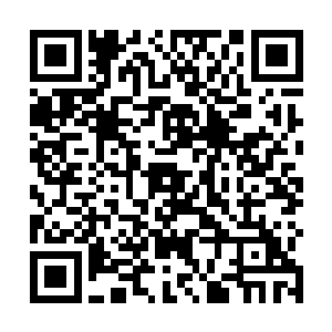 没有人再能看见……曾经在那片脸颊上刺下的罪人烙印二维码生成