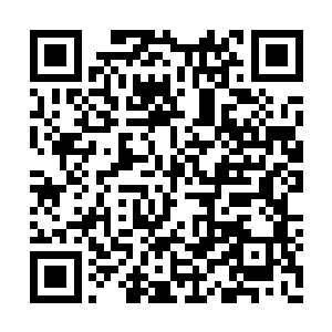 没有人在实力真正成长到可以无视其他敌人之前二维码生成