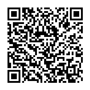 没有人想到许紫烟在受了那么重的伤势之后依旧能够这么快地复原二维码生成