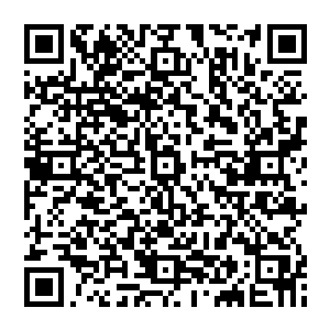没有人抢也没有人推整个台阶上的人就像是个流动的液体一样从台阶上流到了场地中放着的鱼获旁边二维码生成