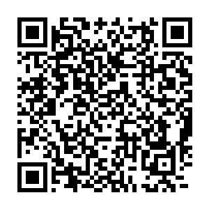 没有人攀附上来认祖认宗……血脉和文化上传承一个条件都没有满足二维码生成