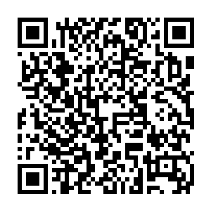 没有人比司马十七郎更清楚王妃是从骨子里就不喜欢与外人多来往二维码生成