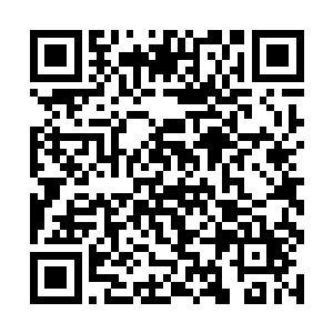 没有人比现场这些人更了解界王丹是什么样的存在了二维码生成