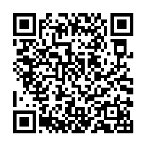 没有人相信林铭的禁神印对这愿力神灵能有任何作用二维码生成