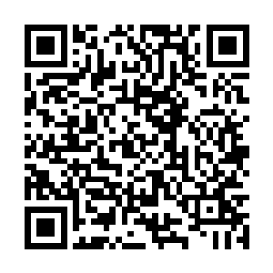 没有人知道大长老的阵道境界才是地灵族中最高的二维码生成