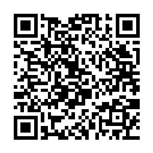 没有人知道杨立业为什么会突然间有这般冲动的行径二维码生成