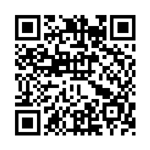 没有人能准确说出它到底是什么仙兽二维码生成