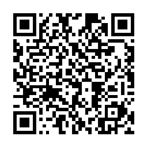 没有人觉得千机真人会在这种时候做一些没有用的事情二维码生成