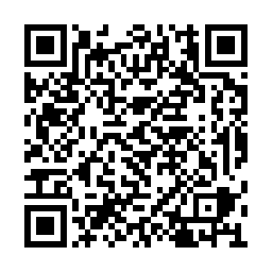 没有什么痛苦比失去最后的希望而更让人伤心了二维码生成