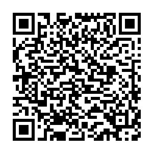 没有任何一个人因为国王身上没有流淌着王族的血统而感到失望难过二维码生成
