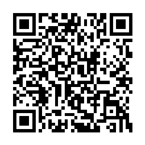 没有任何一名始境能将自身能量提炼到这般地步二维码生成