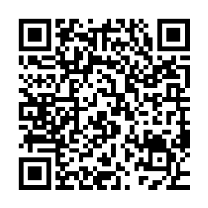 没有任何人知道今天回来的张铁已经不是两个月前的那个张铁二维码生成