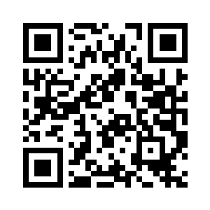 没有任何标志的飞机二维码生成