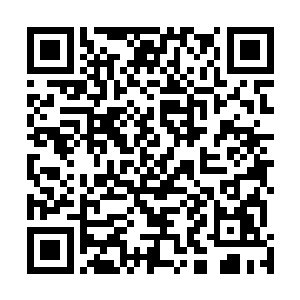 没有其他位面坐标的泰坦们根本没有离开这个位面的可能二维码生成