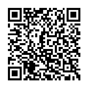 没有凝固的脉轮按照血祭的法则也就无所谓修复二维码生成