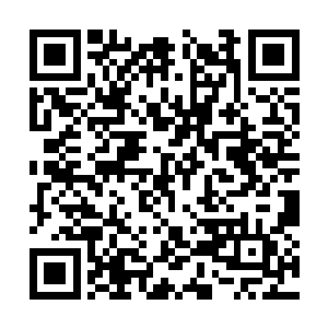 没有几日庄子上的土地里就已经种上了各色的粮食二维码生成